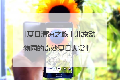 夏日清凉之旅丨北京动物园的奇妙夏日大赏