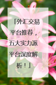 外汇交易平台推荐，五大实力派平台深度解析！