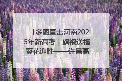 多图直击河南2025年新高考｜旗袍送福 葵花迎胜——许昌高考首日拉开帷幕