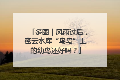 多图｜风雨过后，密云水库“鸟岛”上的幼鸟还好吗？