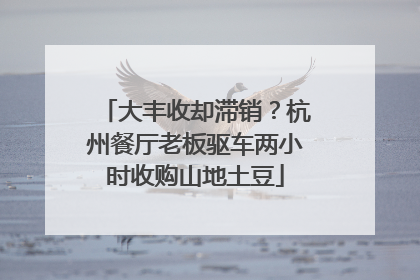 大丰收却滞销？杭州餐厅老板驱车两小时收购山地土豆