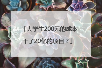 大学生200元的成本干了20亿的项目？