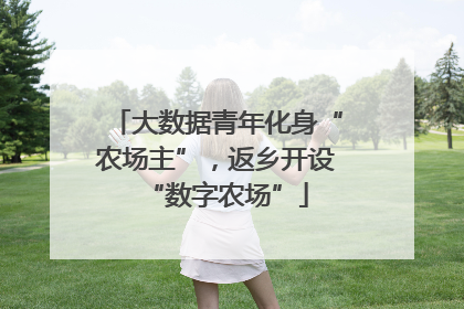 大数据青年化身“农场主”，返乡开设“数字农场”
