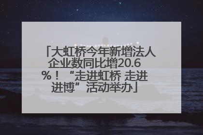 大虹桥今年新增法人企业数同比增20.6%！“走进虹桥 走进进博”活动举办