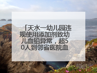 天水一幼儿园违规使用添加剂致幼儿血铅异常，超50人到邻省医院血检，天水派专员到西安协助