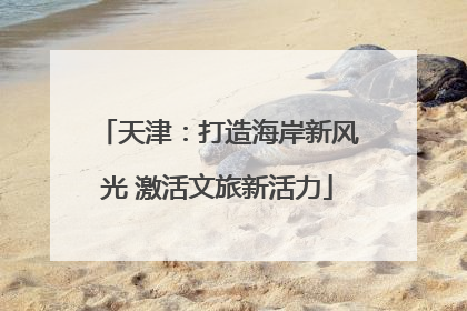 天津：打造海岸新风光 激活文旅新活力