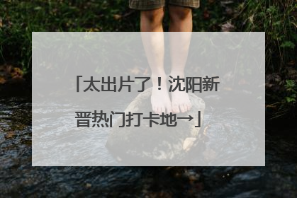 太出片了！沈阳新晋热门打卡地→