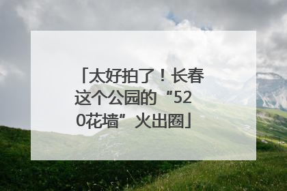 太好拍了！长春这个公园的“520花墙”火出圈