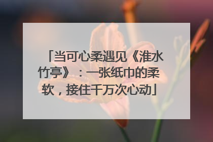 当可心柔遇见《淮水竹亭》：一张纸巾的柔软，接住千万次心动