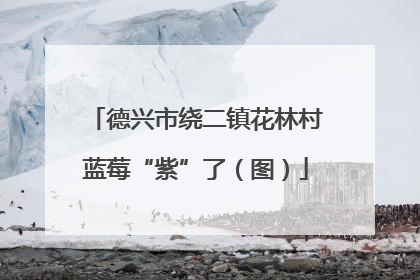 德兴市绕二镇花林村蓝莓“紫”了（图）