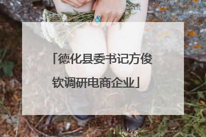 德化县委书记方俊钦调研电商企业