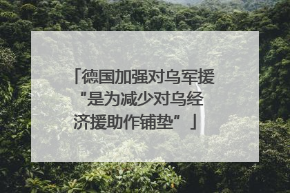 德国加强对乌军援 “是为减少对乌经济援助作铺垫”