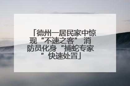 德州一居民家中惊现“不速之客” 消防员化身“捕蛇专家”快速处置