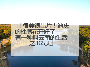 很美很出片！迪庆的杜鹃花开好了——有一种叫云南的生活之365天