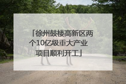 徐州鼓楼高新区两个10亿级重大产业项目顺利开工