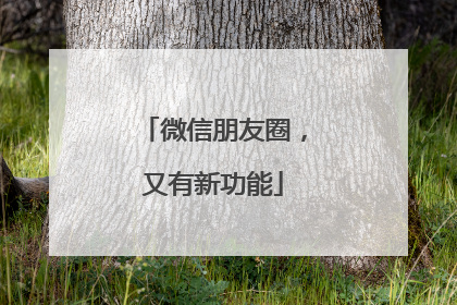 微信朋友圈，又有新功能