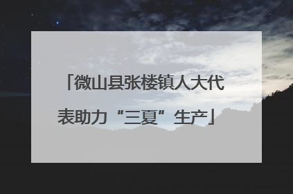 微山县张楼镇人大代表助力“三夏”生产