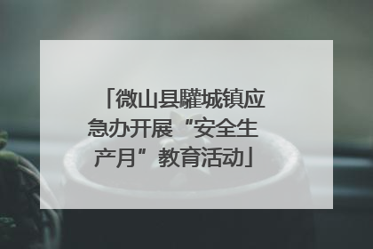微山县驩城镇应急办开展“安全生产月”教育活动