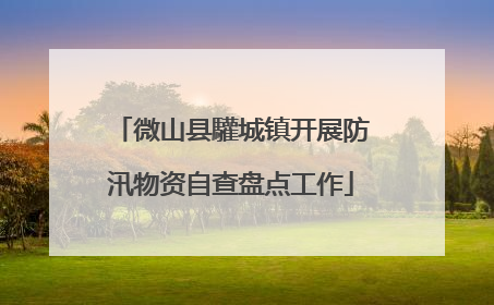 微山县驩城镇开展防汛物资自查盘点工作