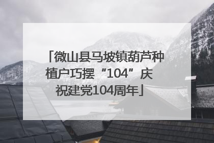 微山县马坡镇葫芦种植户巧摆“104”庆祝建党104周年