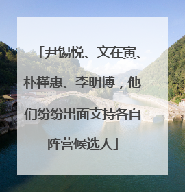 尹锡悦、文在寅、朴槿惠、李明博，他们纷纷出面支持各自阵营候选人