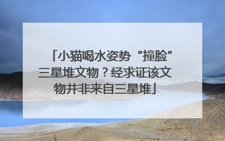 小猫喝水姿势“撞脸”三星堆文物？经求证该文物并非来自三星堆