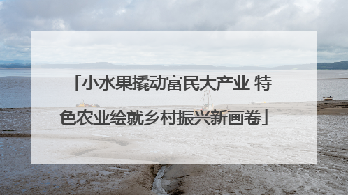 小水果撬动富民大产业 特色农业绘就乡村振兴新画卷