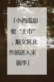 小西瓜甜蜜“上市”，顺义区北务镇进入采摘季
