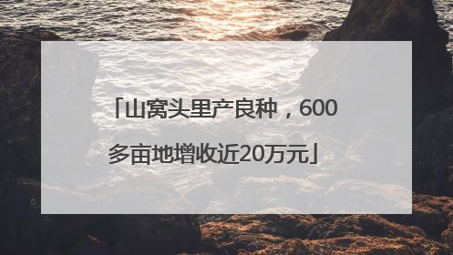 山窝头里产良种，600多亩地增收近20万元