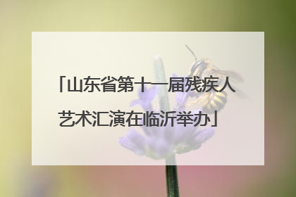 山东省第十一届残疾人艺术汇演在临沂举办