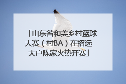 山东省和美乡村篮球大赛（村BA）在招远大户陈家火热开赛