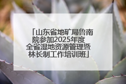 山东省地矿局鲁南院参加2025年度全省湿地资源管理暨林长制工作培训班