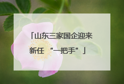 山东三家国企迎来新任 “一把手”