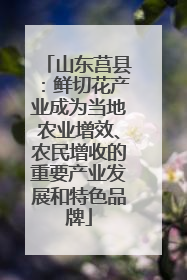 山东莒县：鲜切花产业成为当地农业增效、农民增收的重要产业发展和特色品牌