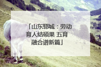 山东郓城：劳动育人结硕果 五育融合谱新篇