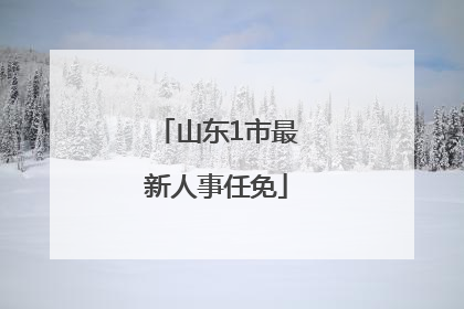 山东1市最新人事任免