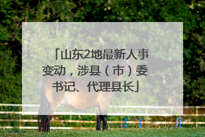 山东2地最新人事变动，涉县（市）委书记、代理县长