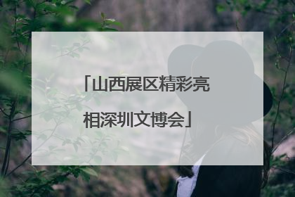 山西展区精彩亮相深圳文博会