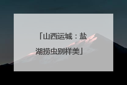 山西运城：盐湖捞虫别样美