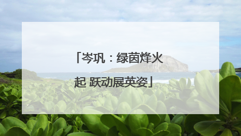 岑巩：绿茵烽火起 跃动展英姿