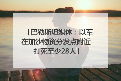 巴勒斯坦媒体：以军在加沙物资分发点附近打死至少28人