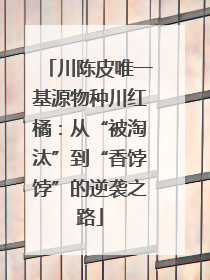 川陈皮唯一基源物种川红橘：从“被淘汰”到“香饽饽”的逆袭之路