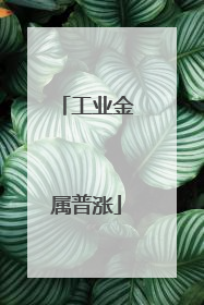 工业金属普涨