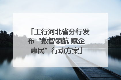 工行河北省分行发布“数智领航 赋企惠民”行动方案