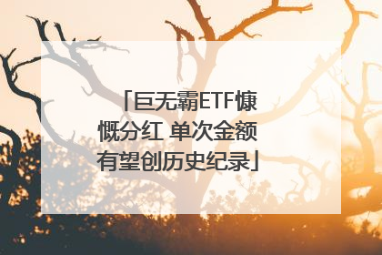 巨无霸ETF慷慨分红 单次金额有望创历史纪录