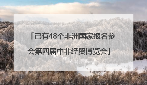 已有48个非洲国家报名参会第四届中非经贸博览会