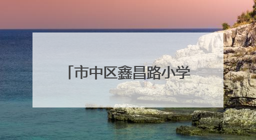 市中区鑫昌路小学：体测防近视并举 助推综合绩效提升