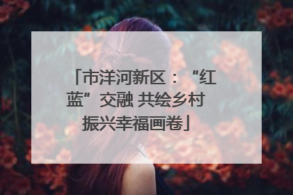 市洋河新区：“红蓝”交融 共绘乡村振兴幸福画卷