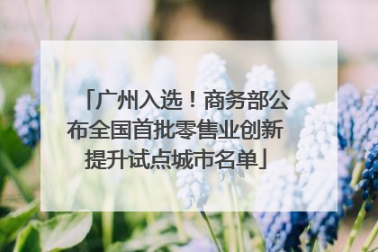 广州入选！商务部公布全国首批零售业创新提升试点城市名单
