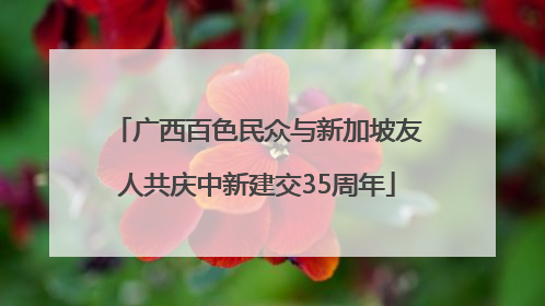 广西百色民众与新加坡友人共庆中新建交35周年